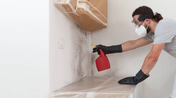 Professional Mold Removal technician working in Horntown, VA
