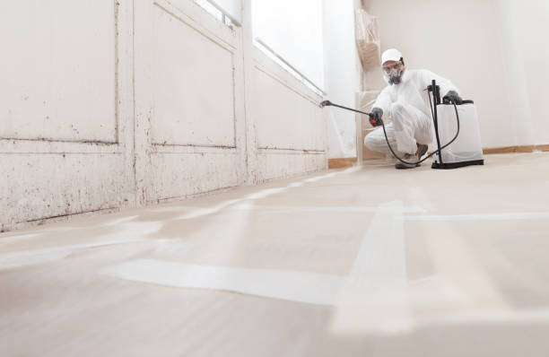 24/7 Emergency Mold Removal experts in Horntown, VA
