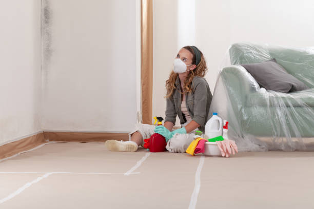 Reliable Mold Removal contractor in Horntown, VA by 24 Hour Mold Removal