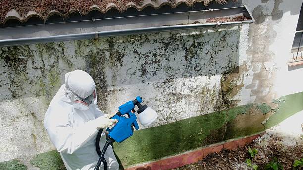Top rated local Mold Removal specialists in Horntown, VA